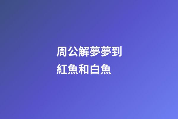 周公解夢夢到紅魚和白魚 (夢見紅白相間的魚)-第1張-觀點-玄機派